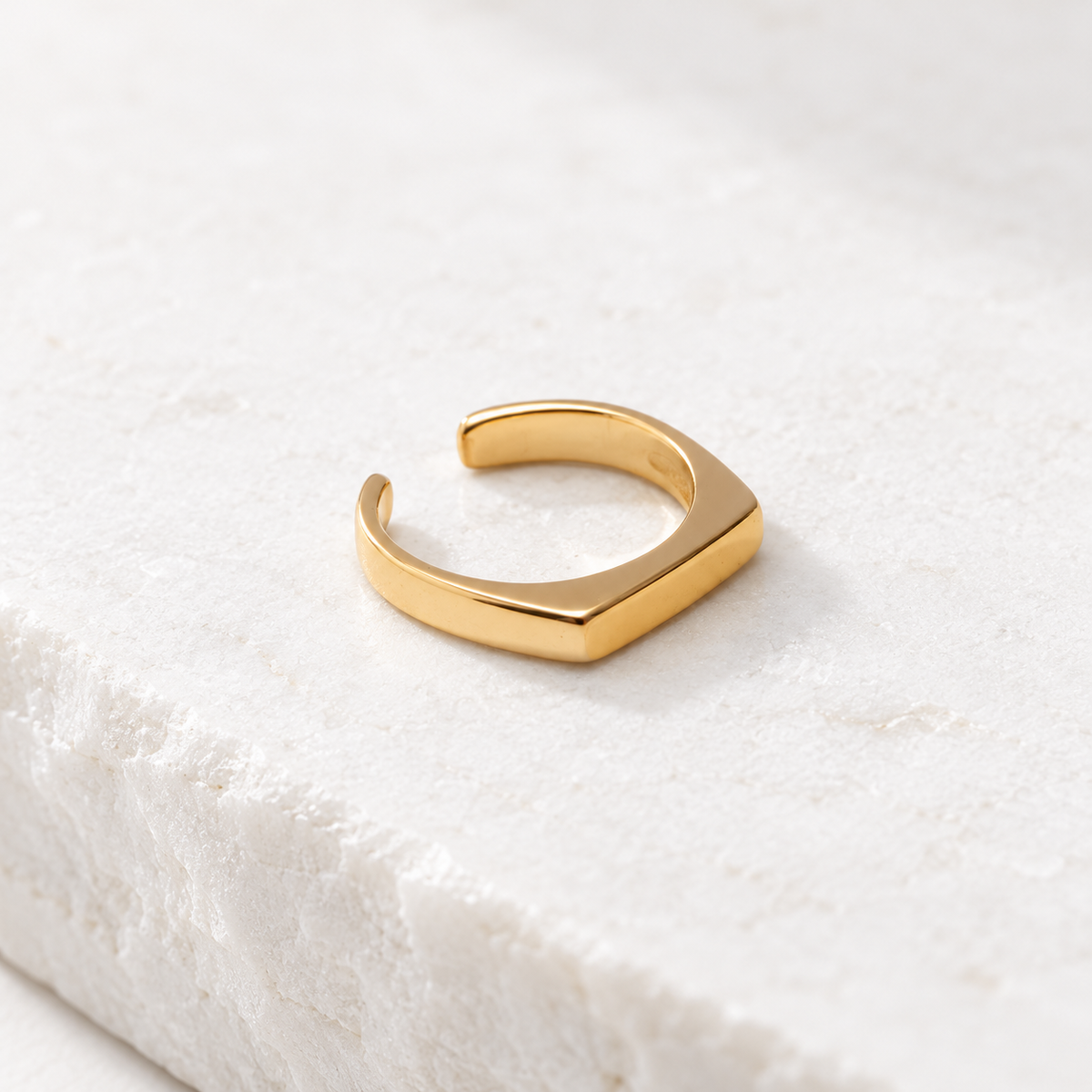 elle signet ring reverse — campaign product photograph